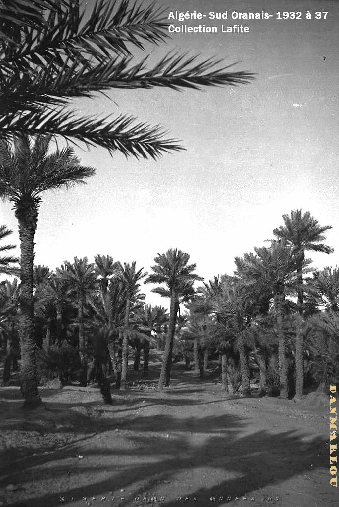 SUD ORANAIS  1932 A 1937  (24).jpg